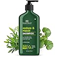 Botanic Hearth Restore & Repair Shampoo – With Tea Tree, Cica, Hyaluronic Acid & Salicylic Acid – Paraben & Sulfate Free – 5-in-1 Care for All Hair Types – 16 fl. oz