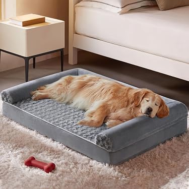 Amazon Best Sellers: Best Dog Beds