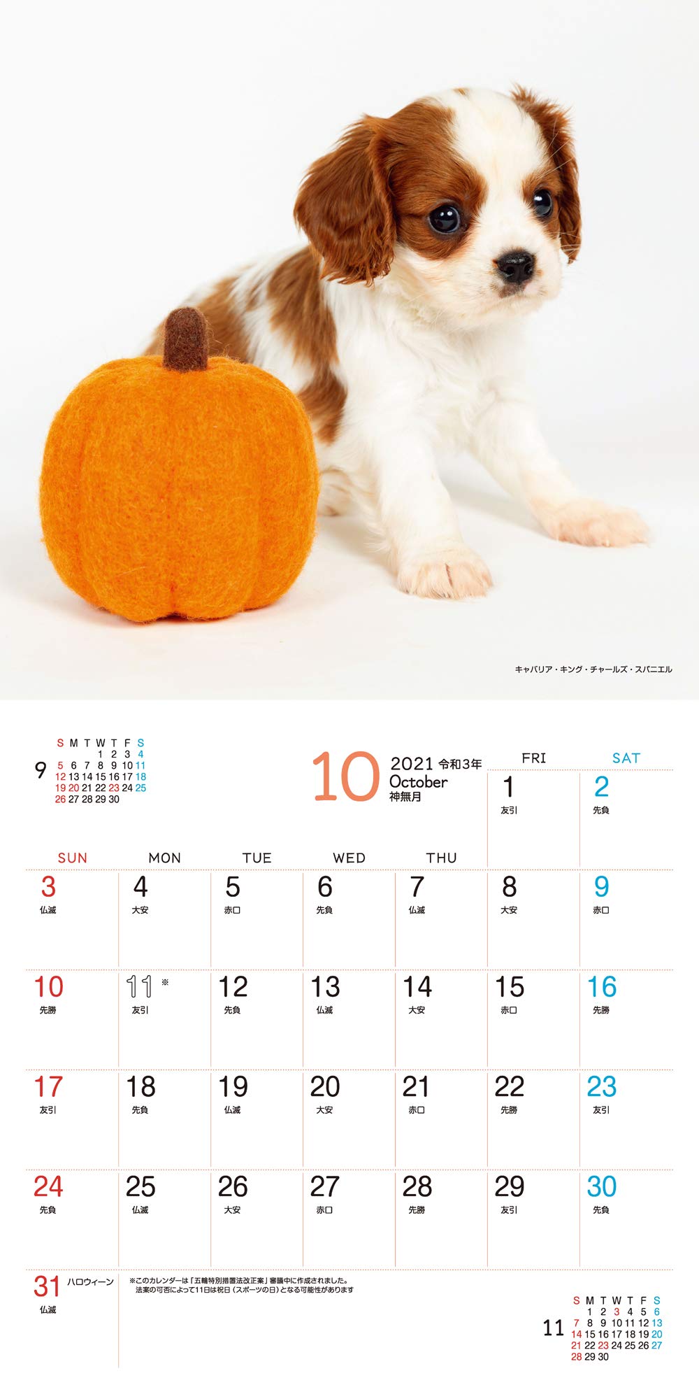 ましかくカレンダーかわいいこいぬ 21 インプレスカレンダー21 小川晃代 湯沢祐介 アニマルラグーン 本 通販 Amazon