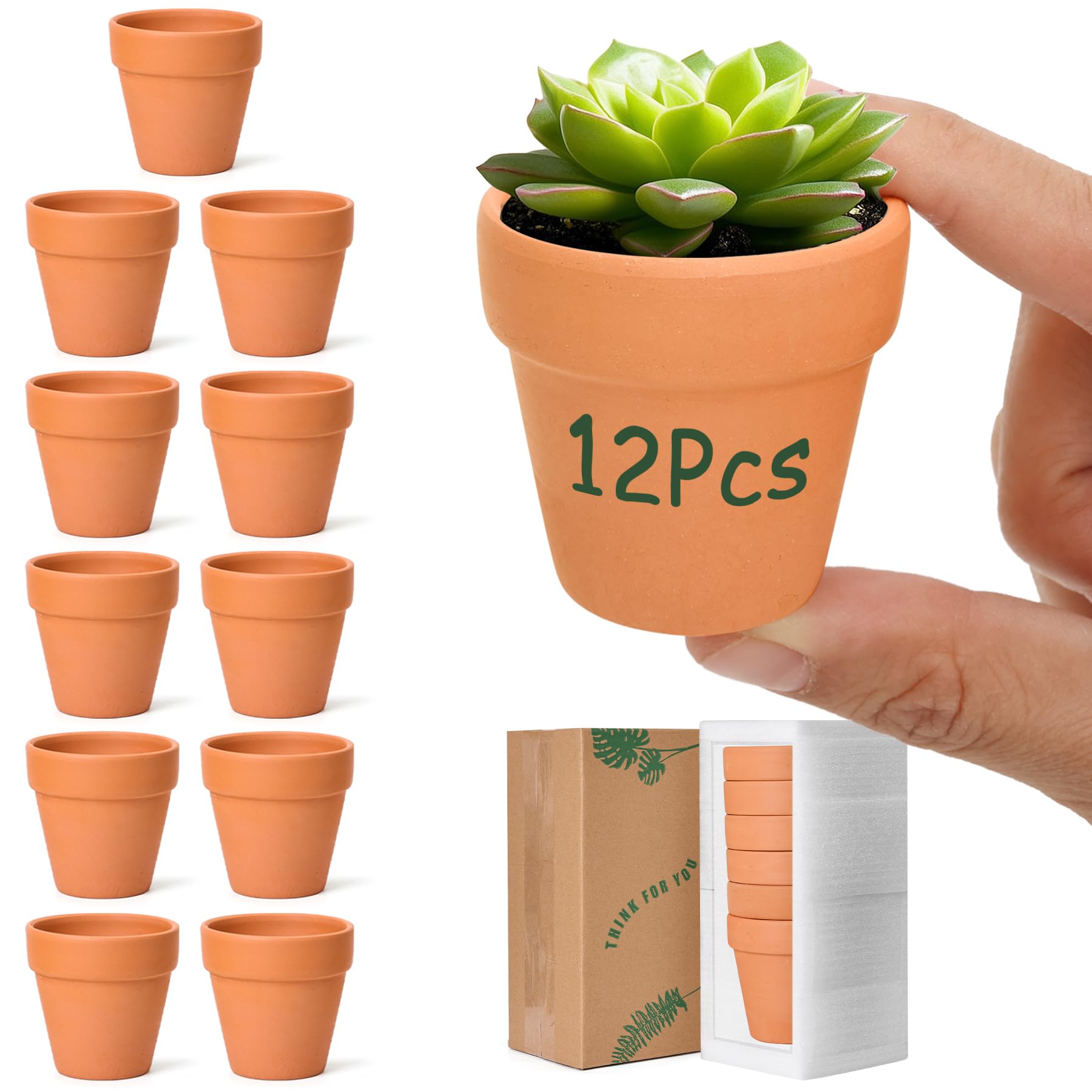 T4U 6.5CM Terracotta Plant Pots 12 Pcs, Mini Terracotta Pots with Drainage Holes, Small Clay Pots for Crafts, Small Plant Pots for Succulent Cactus Plants, DIY Mini Flower Pot, Gifts for Party Decor