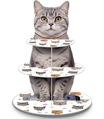 Fotografia sfondo gatto buon compleanno gattino Pet Paw festa a tema decorazioni per bambini sfondo Photo Booth puntelli da Studio  44