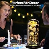 Touloube Galaxy Rose for Her in Glass Dome 20 LED Lights 22cm Gift view 5