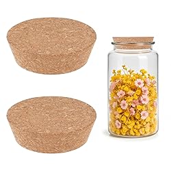 2pcs Large Cork Stoppers for Jars Cork Lids for
