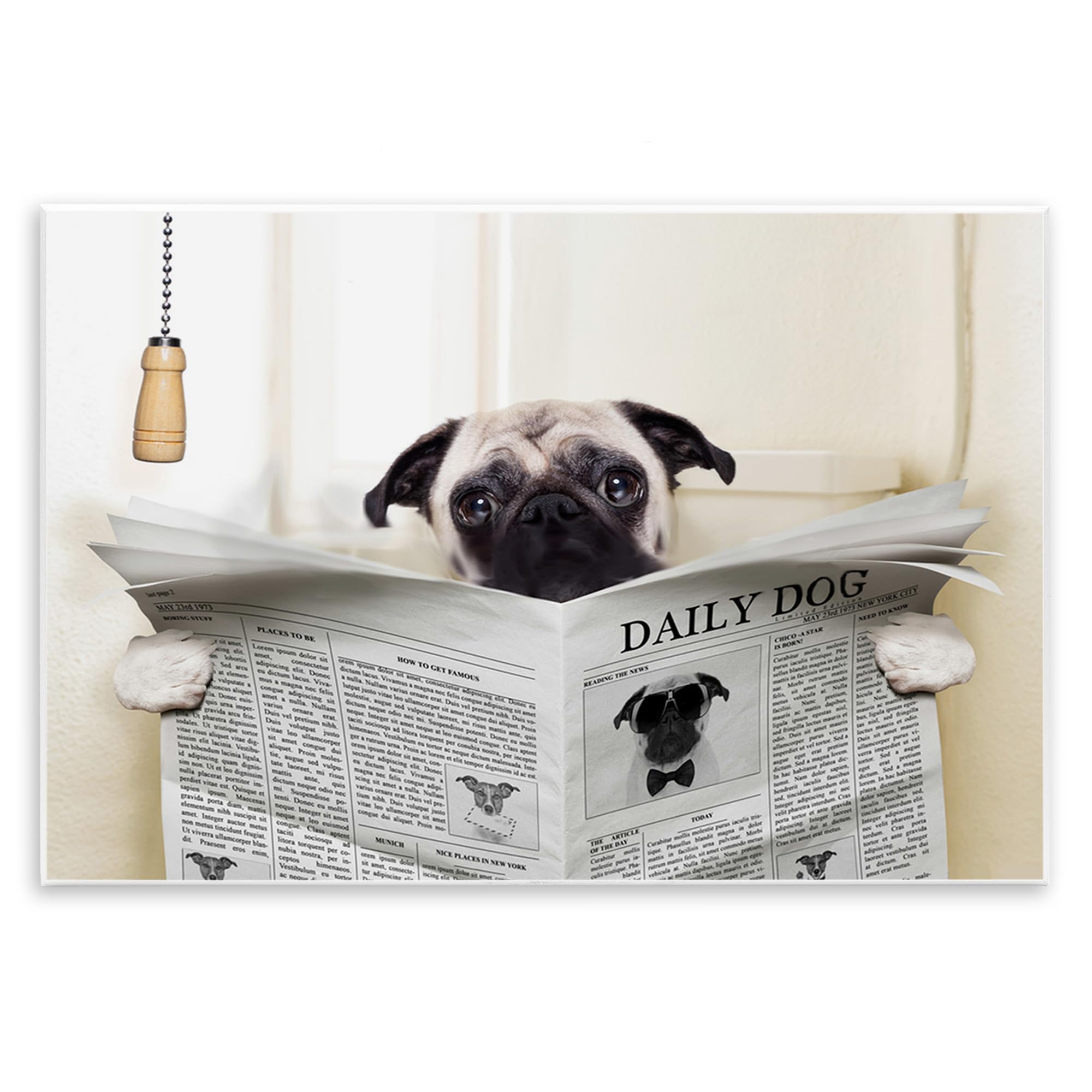 Stupell Industries Pug Reading Newspaper in Bathroom Wall Plaque Art, 10 x 0.5 x 15, Proudly Made in USA