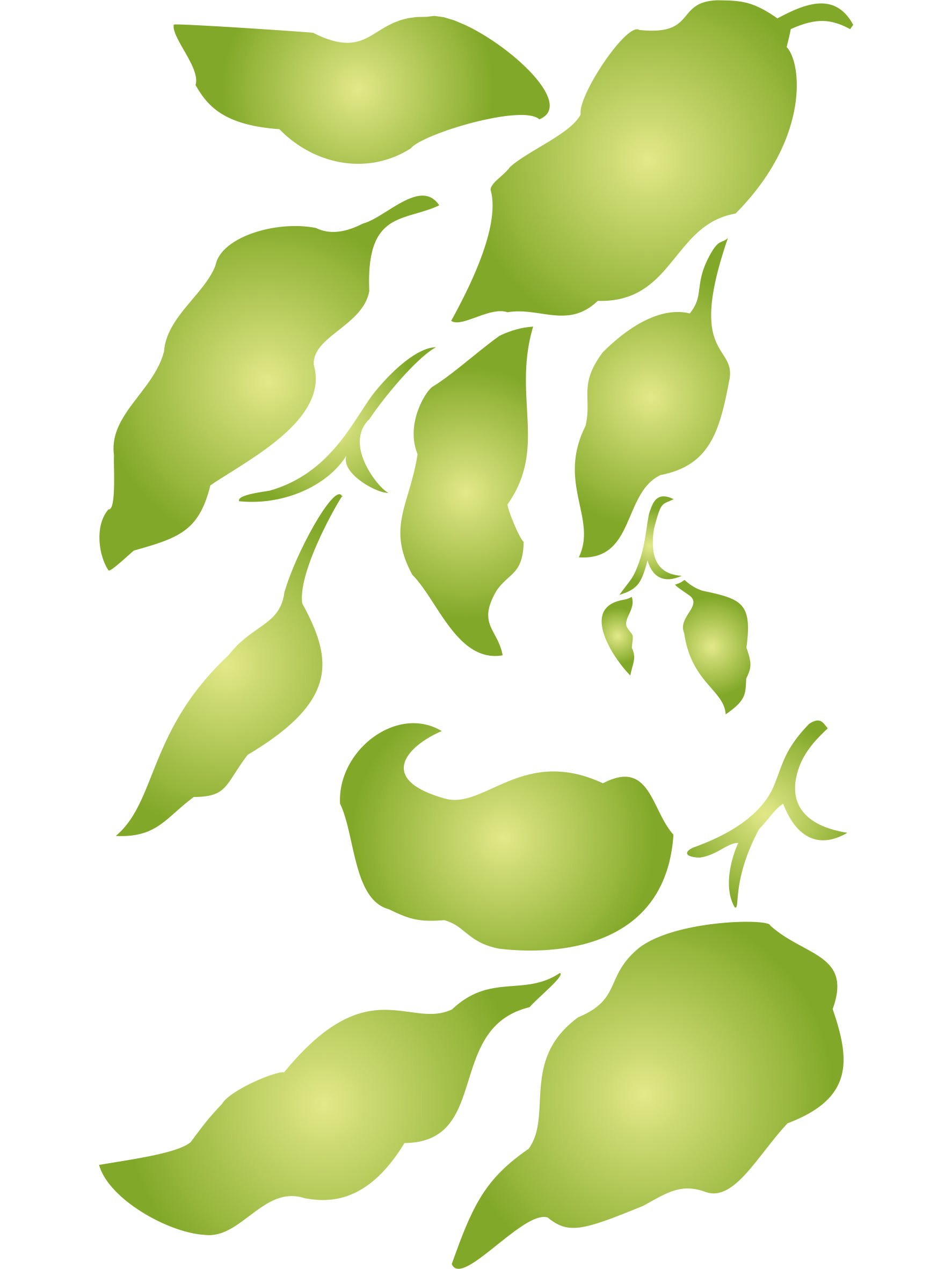 Leaf Stencil - 23 x 38cm (L) - Reusable Large Leaves Foliage Wall Stencil Template