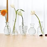 Set of 5 Single Bud Vase Small Glass Vase for Centerpiece Vintage Style,Thick Vase for Events,Home Décor