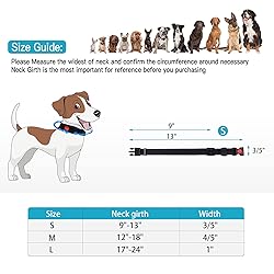 Reflective Dog Collar and Leash Set with Safety