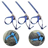 HUILE 3 PCS Bird Harness, Parrot Harness for