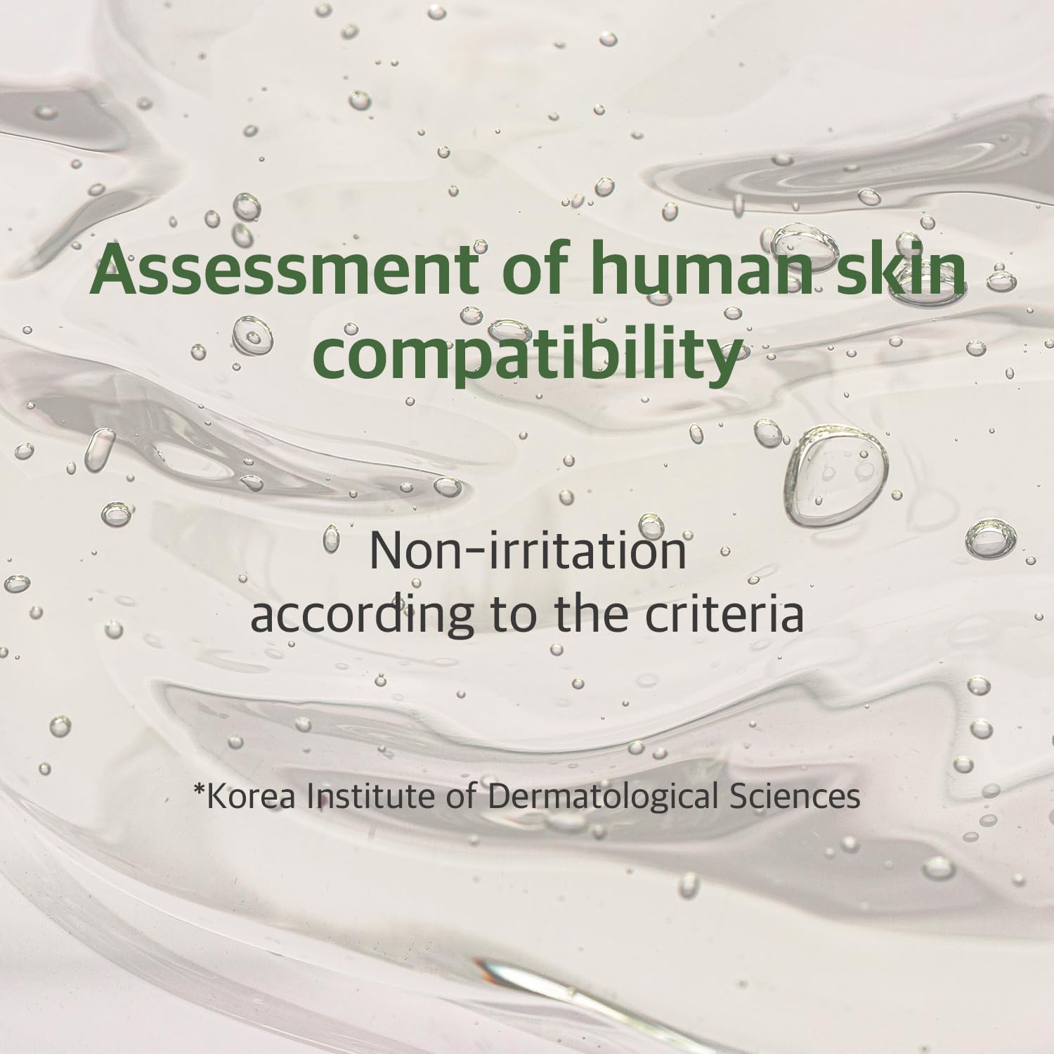 ROUND LAB Mugwort Calming Serum 50ml / Soothing, Refreshing, Mugwort Extract Serum