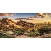 36x18 in Desert Reptile Habitat Backdrop Oasis Cactus Terrarium Background | AWERT Blue Sky Sunset Desert Landscape Durable Polyester Background