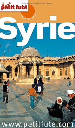 Download Guide Syrie 2011 Petit Futé PDF
