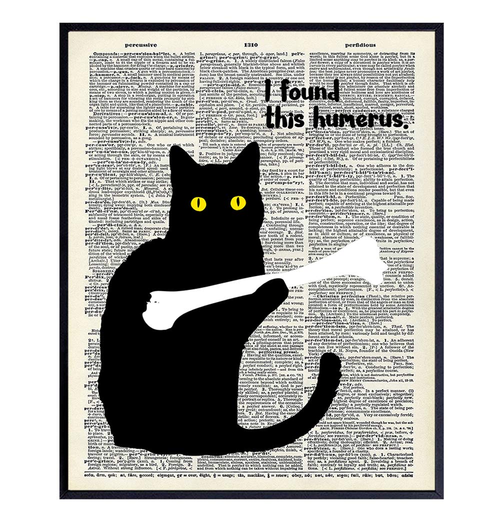 Cat Dictionary Art Print - 8x10 Gift for Kitty, Kitten, Cat Lover, Med Student, Doctor - Chic Vintage Home Decor, Wall Decoration for Clinic, Dr Office - Funny Unframed Poster - I Found This Humerus
