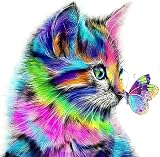 Lidiper 5D Diamond Painting Kit Colorful Cat Butterfly 30x30cm DIY