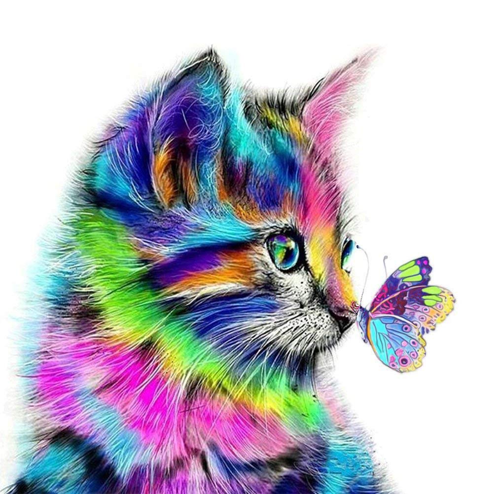 Lidiper 5D Diamond Painting Kits, DIY Diamond Painting Cross Stitch Full Drill Crystal Rhinestone Painting Embroidery Paintings Pictures for Home Wall Decor (Colorful Cat Butterfly 30x30cm)