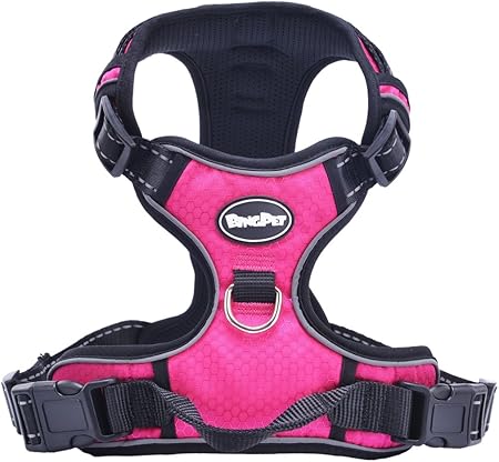amazon best dog harness