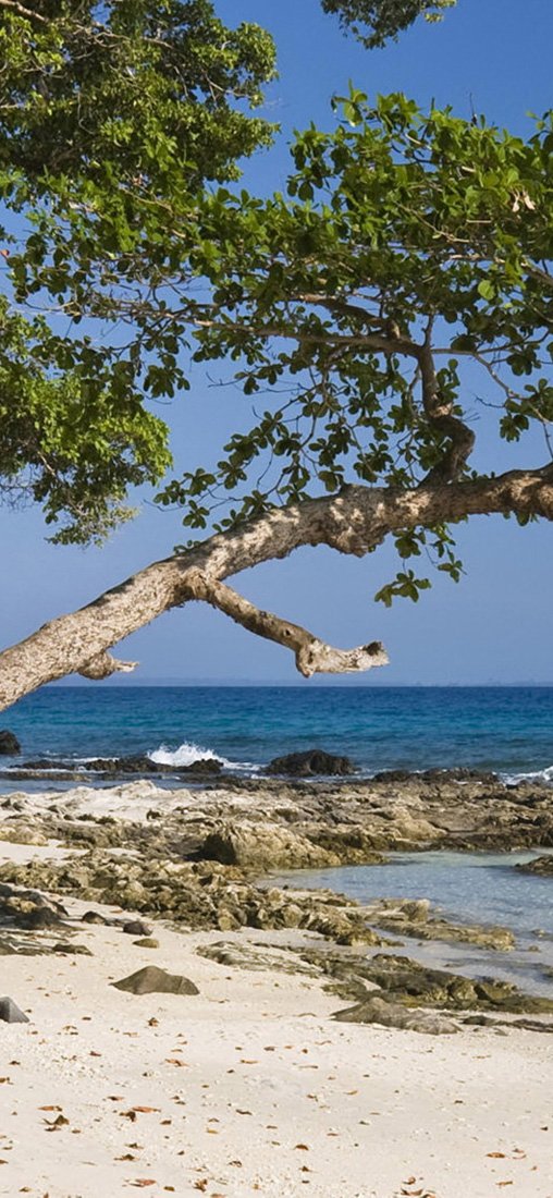 PeelitStickit, Beautiful Nature Wall Murals, ID-1344, vinyl