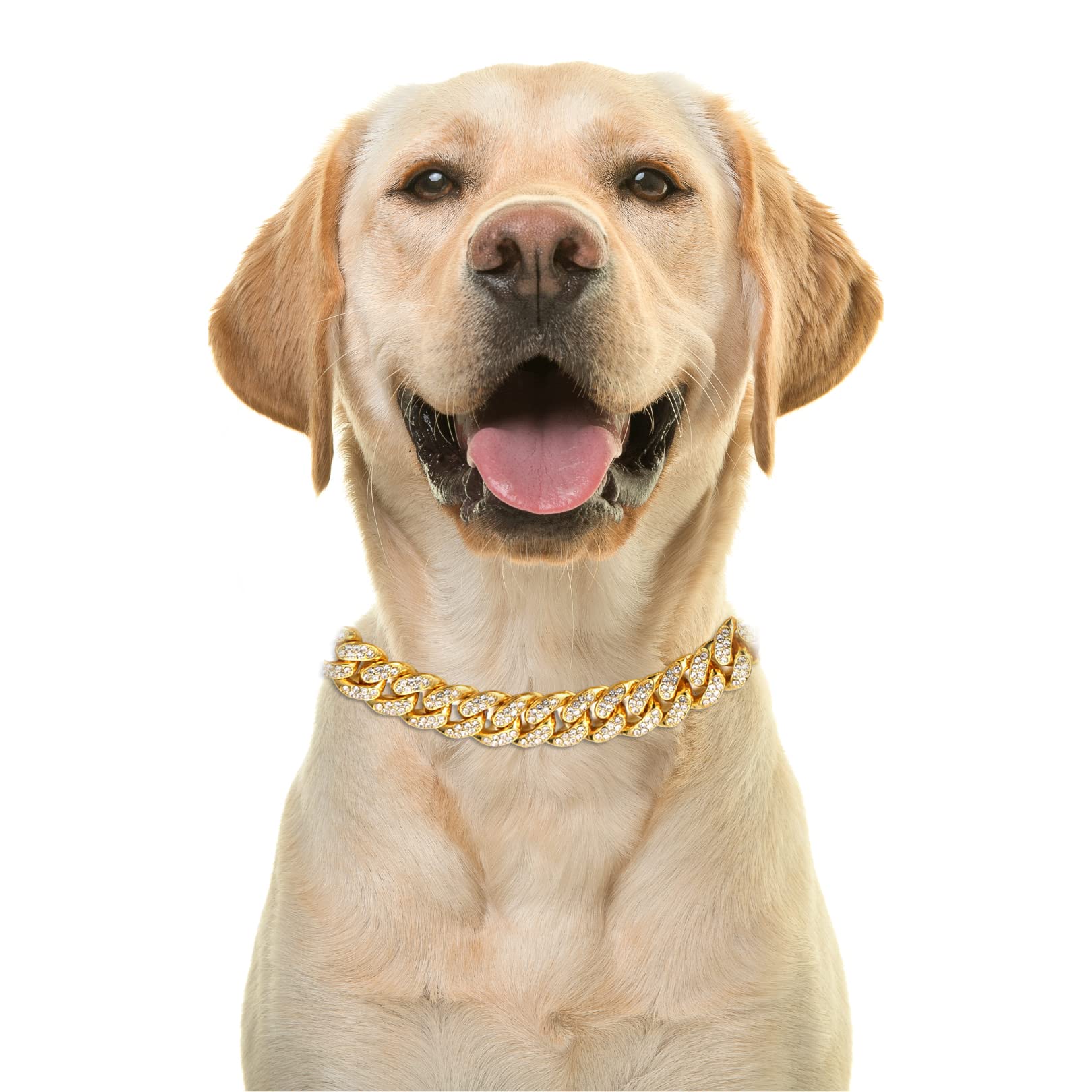 Halukakah Gold Chain Iced Out for Dog,Diamond Cuban Link Necklace Collar 14MM 18k Real Gold Gold Plated 40cm Size S with FREE Giftbox,Decoration Only