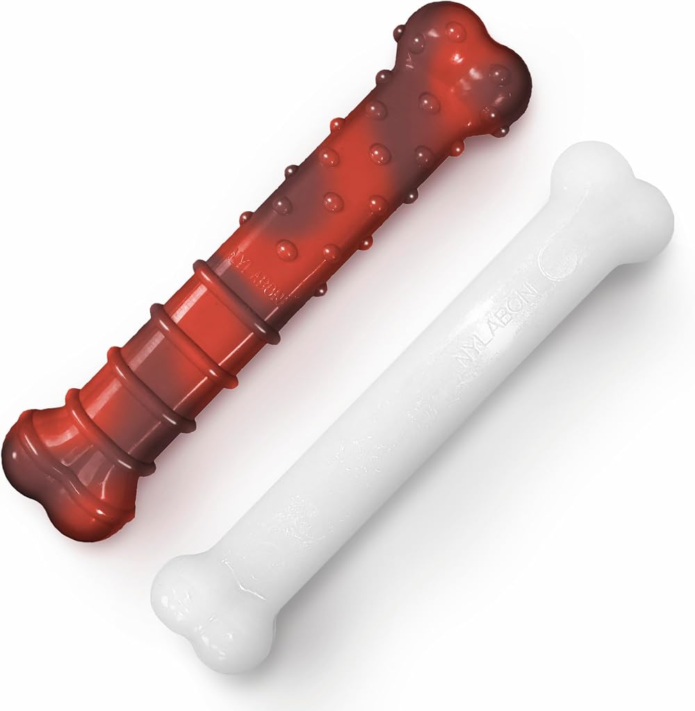 Nylabone Durable Power Dental Dog Chew Toys Twin Pack Large Beef Jerky & Chicken