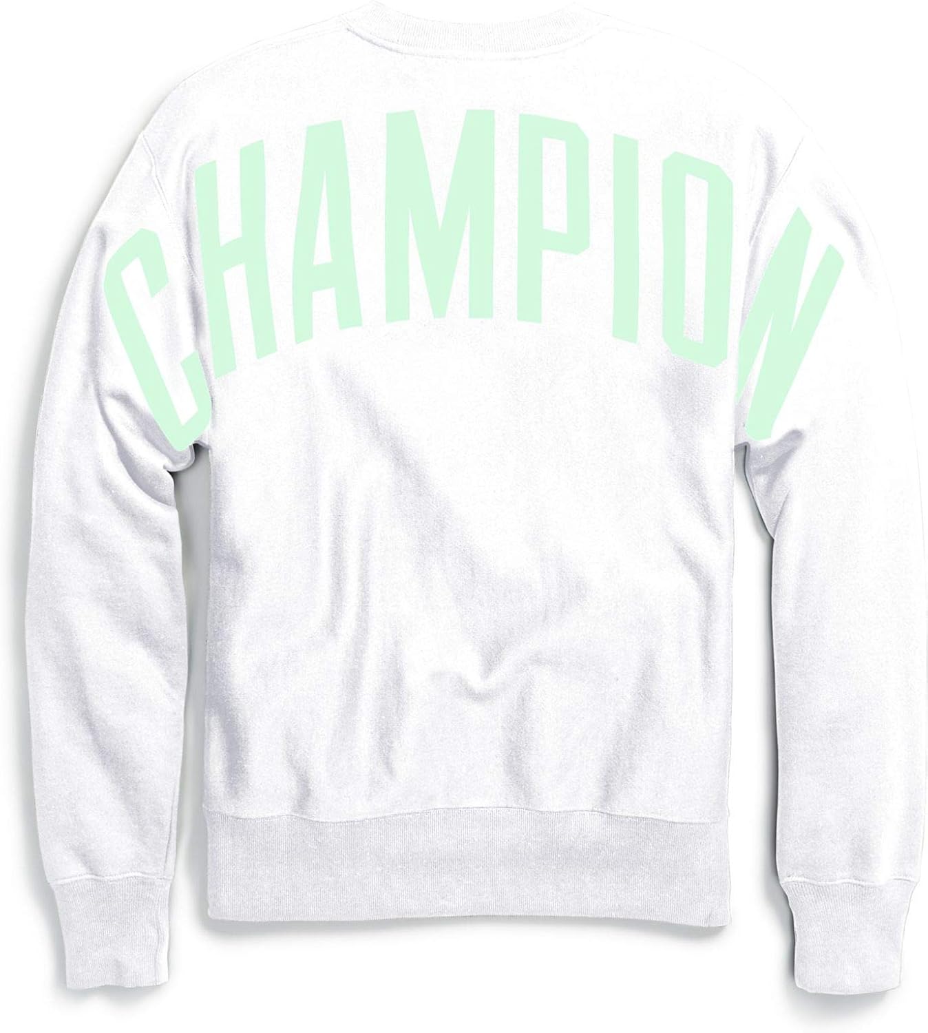 champion reverse weave oversized