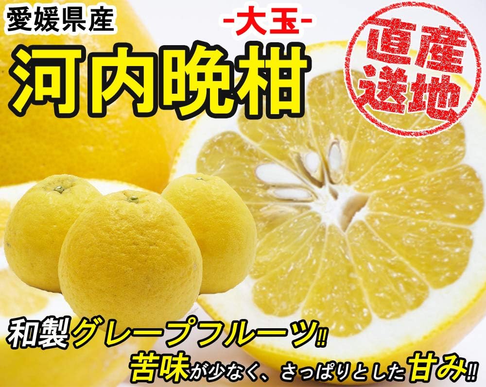 Amazon 河内晩柑 みかん 送料無料 ご家庭用 箱買い 柑橘 フルーツ 果物 産地直送 愛媛県産 大玉 Lemon Foods みかん 柑橘類 通販