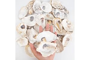 QEQEKAKA 30PCS Oyster Shells 3"-4" Medium Oyster Shells for Crafts Natural Oyster Shells Bulk, for Home Vase Filler, Xmas Ornaments, DIY Arts and Crafts Sea Shells