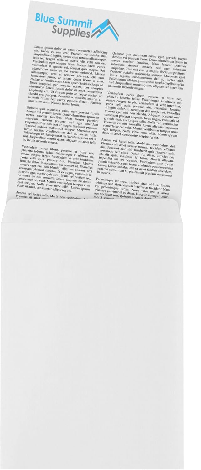 100 9 X 12 Self Seal Security Catalog Envelopes - Designed for Secure Mailing - Securely Holds up to 60 Sheets of Paper with Strong Peel and Seal Flap (100 Envelopes) : Office Products