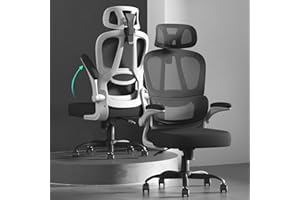 Submi Desk Chair, Ergonomic Office Chair for Adults, High Back Computer Chair with Lumbar Support & Flip-up Armrests, Breatha