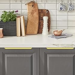 Ravinte 10 Pack Finger Pulls for Cabinets
