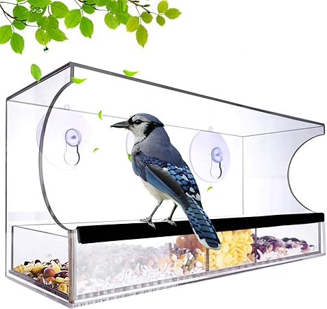 Amazon Com Nature Decor Window Bird Feeders Outside With Suction