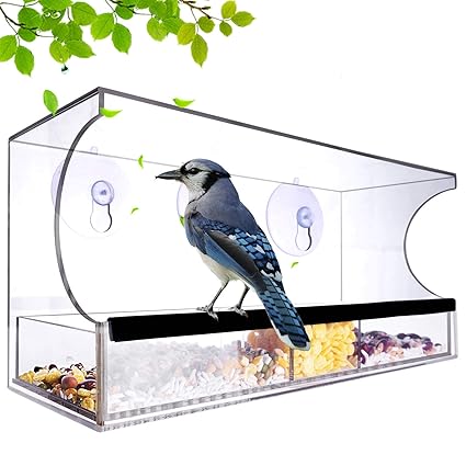 Nature Decor Window Bird Feeders Outside With Removable Tray Seed