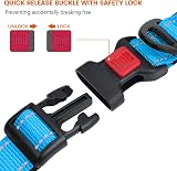 Taglory Reflective Nylon Dog Collar with Safety Buckle XS Sky Blue view 3
