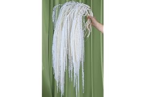 Glicrili 10Pcs Natural Dried Wisteria Hanging Flowers - 23" Bleached White Preserved Amaranthus for Wedding Decor, Dry Flowers Arrangement, Garlands, Home Decor, Vase Filler, Wall Decoration