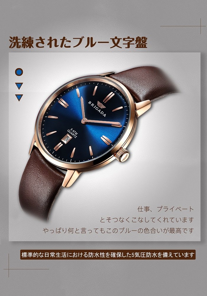 BRIGADA メンズ 腕時計 コーヒー色 ベルト 本革　大人 クオーツ ビジネス シンプル 時計 [並行輸入品]