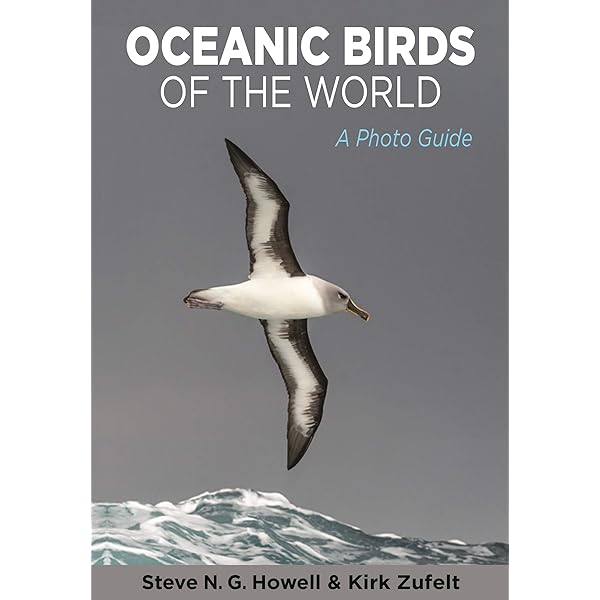 Gulls of Europe, Asia and North America (Helm Identification