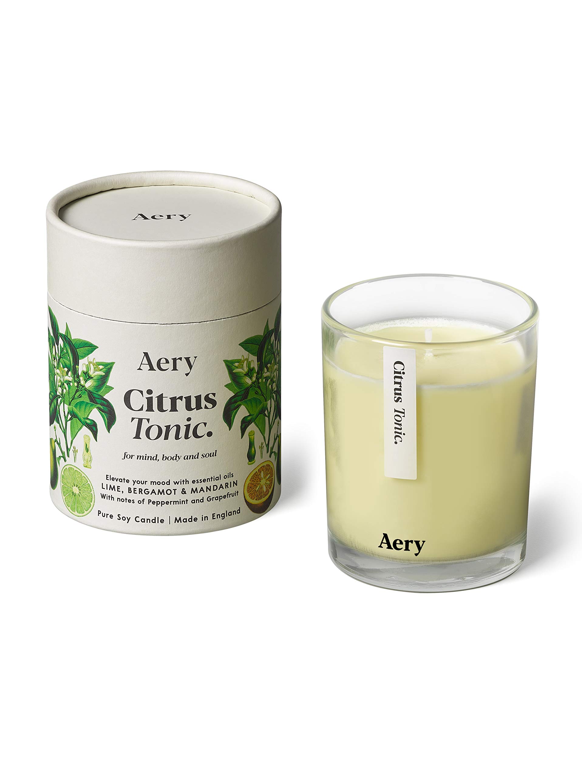 Aery Botanical Candle, Citrus Tonic