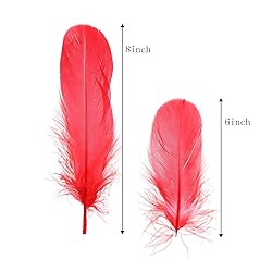 100PCS Natural Goose Feathers Decoration - Assorted