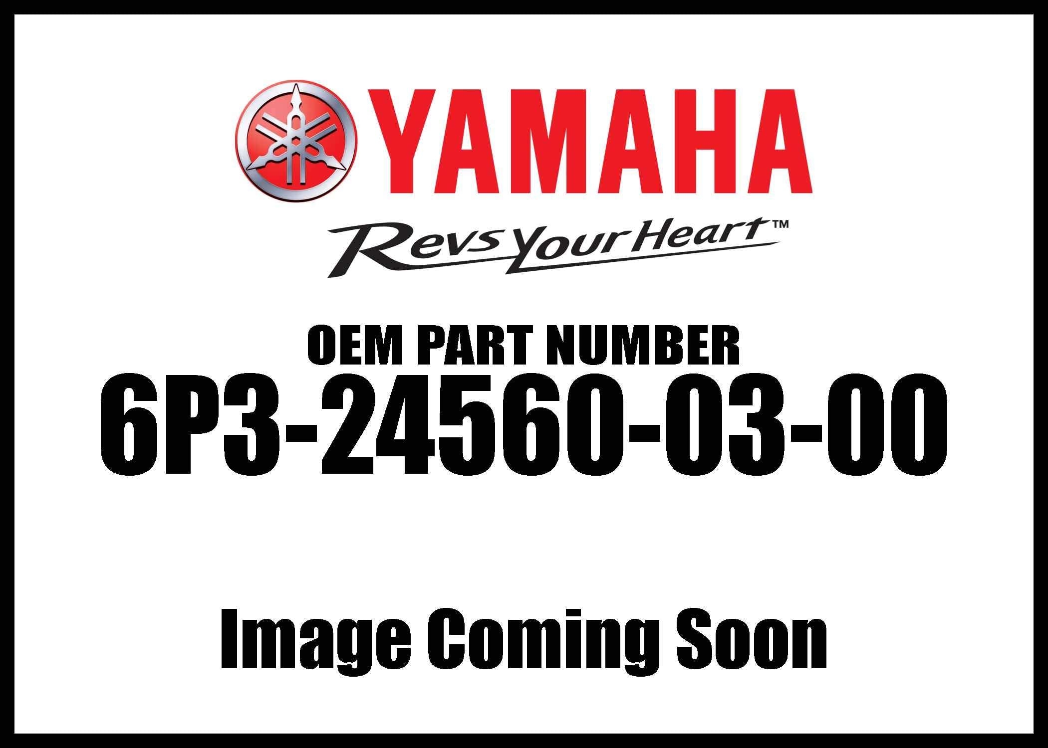 Yamaha 6P3-24560-03-00 Filter Assembly; 6P3245600300 Made by Yamaha