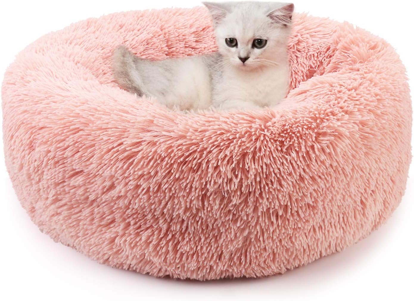 stylisches katzenbett