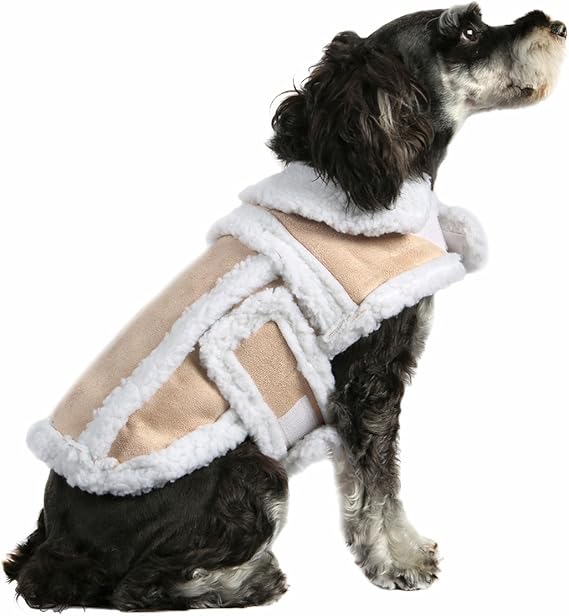 dog winter jacket amazon