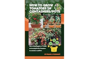 How to grow tomatoes in containers/pots: Harvesting Happiness: A Guide to Growing Perfect Tomatoes in containers and Pots