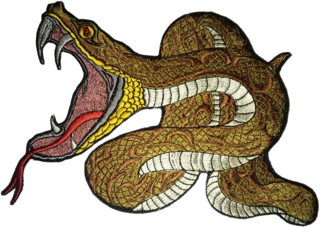 Large python. Python crazy.