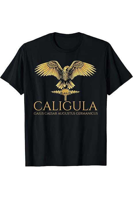 Aquila Felpa Con Cappuccio Uomo SPQR Roma – Grigio Scuro Mélange, XXL, Cotone E Poliestere