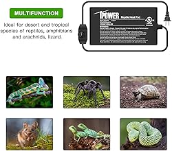 iPower 4X7 Inch 4 Watts Reptile Heating Mat with