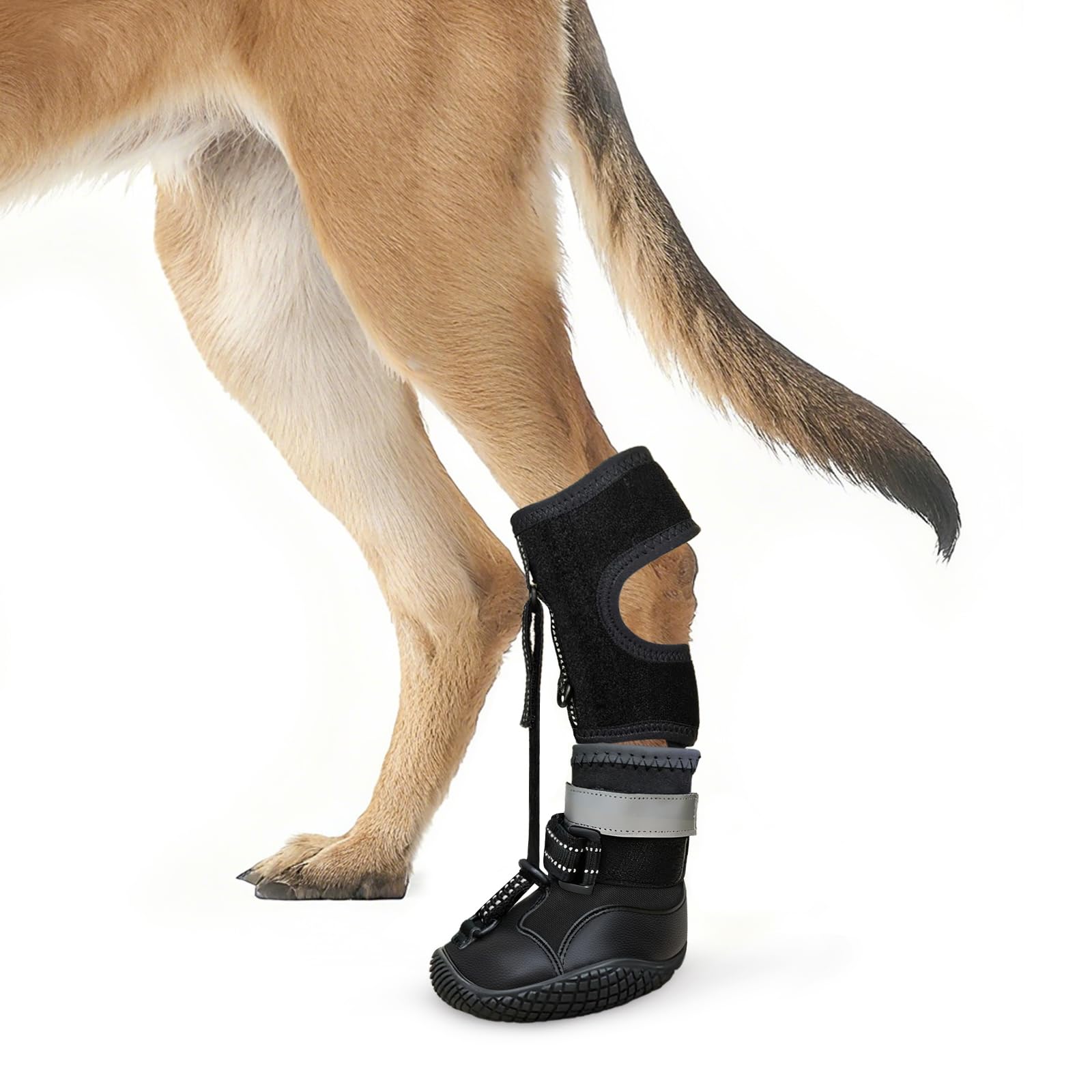 Photo 1 of Idepet Dog Drop Foot Brace Strap On (No Knuckling Boot Brace) — Dog Boot Leg Braces for Leg Support, Dog Shoes Lift Toes for Foot Issues, Arthritis, Pet Corrector for Dogs (7)