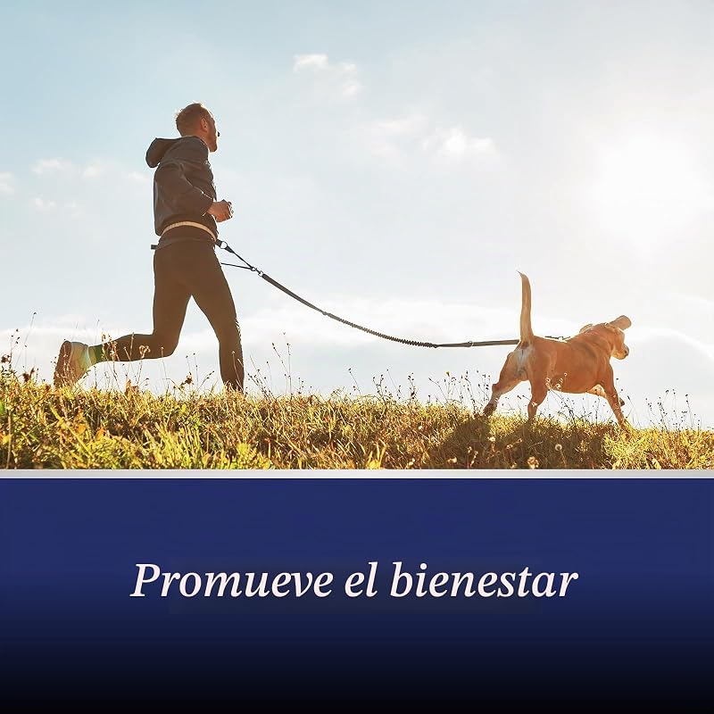 comprimidos para articulações para cães - Cães condroprotetores - fórmula única: com mexilhão de lábios verdes, glucosamina, Ómega 3 - proteção articular - 20 comprimidos