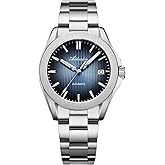 ADDIESDIVE 41 MM Mens Watches 8215 Automatic Movement Folded Pattern Dial with Sunburst Synthetic Sapphire Luminous 200 M Waterproof Large Watches for Men