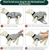 Kuoser Dog Surgery Recovery Suit Blue XS - Post-Op Bodysuit for Spay Neuter view 4