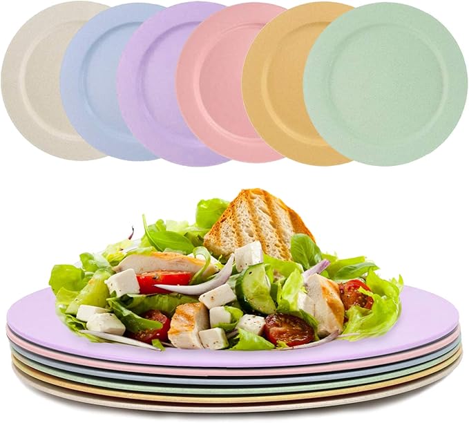 DeeCoo Set of 6 Lightweight Unbreakable Wheat Straw Plates, 10 Inch Flat Dinner Plates