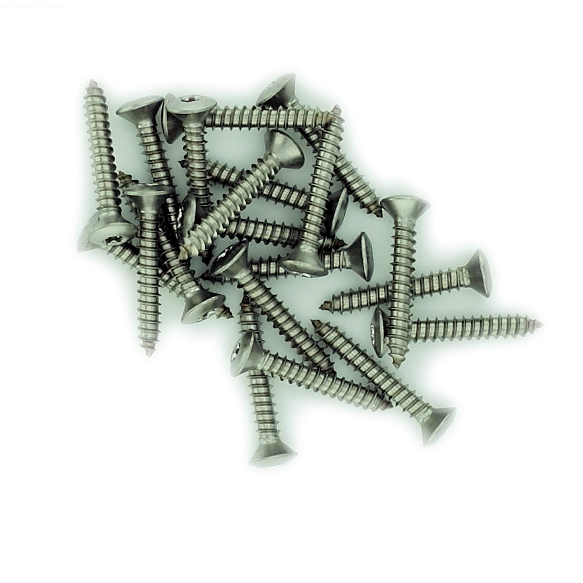 No.4 x 0.25 (2.9mm x 6.5mm) TX Raised Countersunk Self-Tapping Screw - Stainless Steel (A2) (Pack of 20) โ image 1