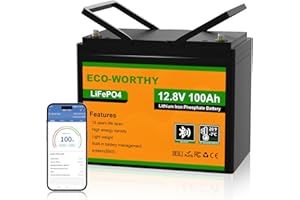 ECO-WORTHY 12V 100AH LiFePO4 Lithium Battery with Bluetooth, Low Temperature Protection, Max.1280Wh Energy, Group 24, Built-i